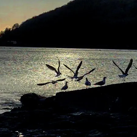 Westcroft Boutique 5* Kingsand